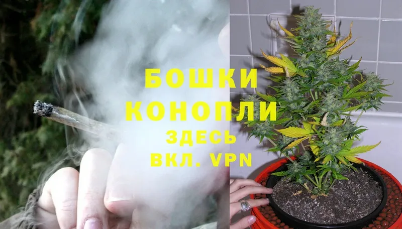 МАРИХУАНА LSD WEED  блэк спрут ссылка  Козьмодемьянск 